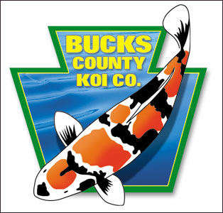 Computer Generated Illustration for Bucks County Koi Co.