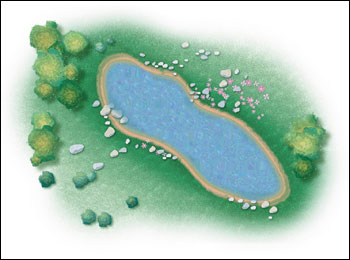 Digital Illustration of Pond Area